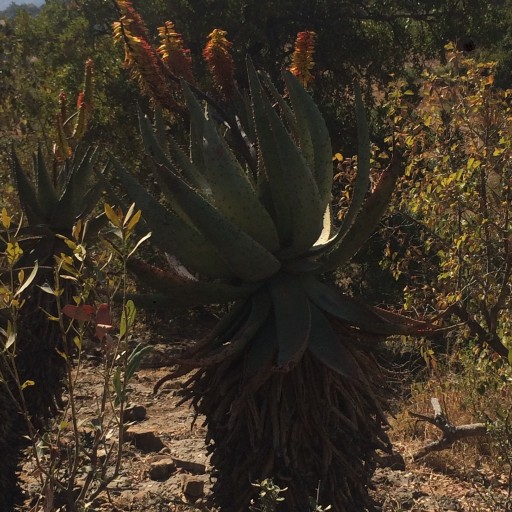 HARD moment for All men