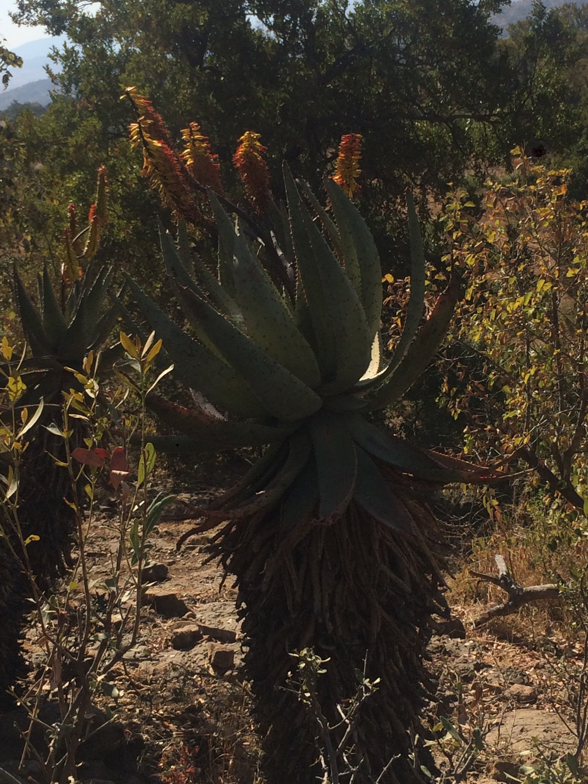 HARD moment for All men