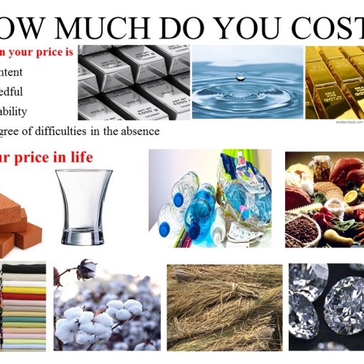 HOW MUCH DO YOU COST?