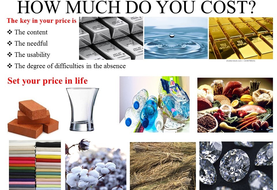 HOW MUCH DO YOU COST?